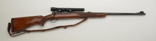 gun-gallery:Winchester Model 70 - .375 Magnum