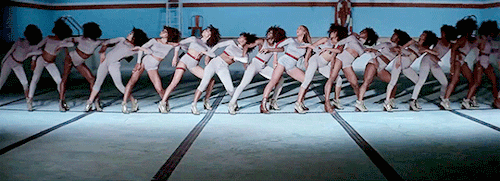 tumblr_o259qgW6hv1ruvpwjo5_500.gif
