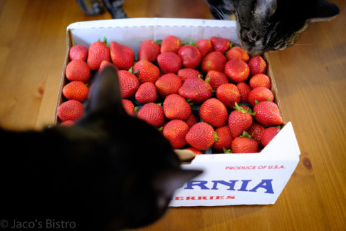 Have some strawberries…