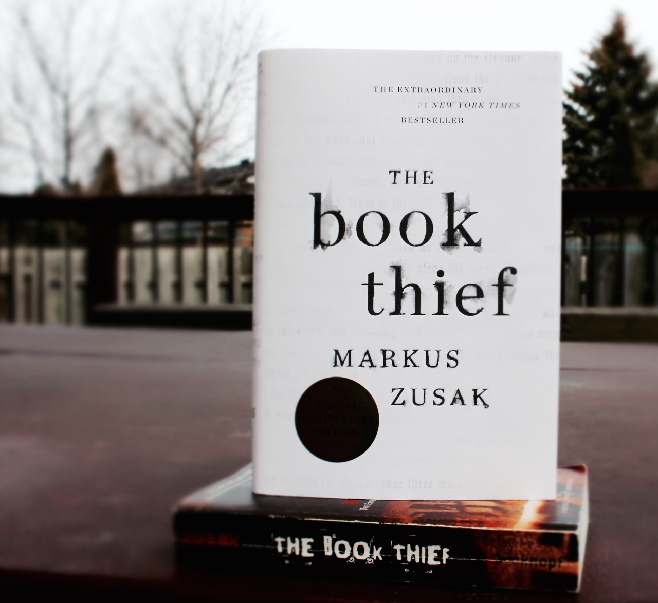 the book thief anniversary edition