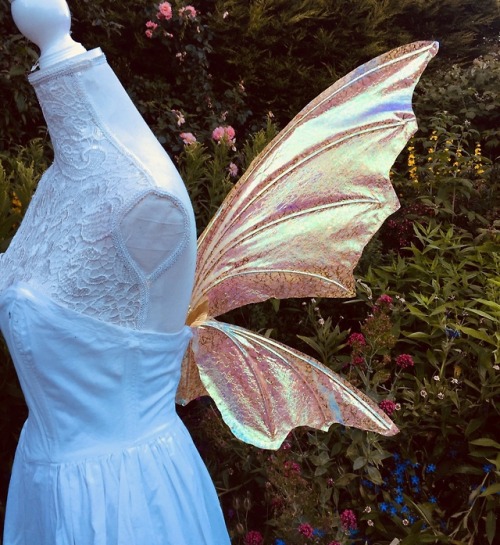 sosuperawesome:Fairy and Dragon WingsZAKIT on EtsySee our...