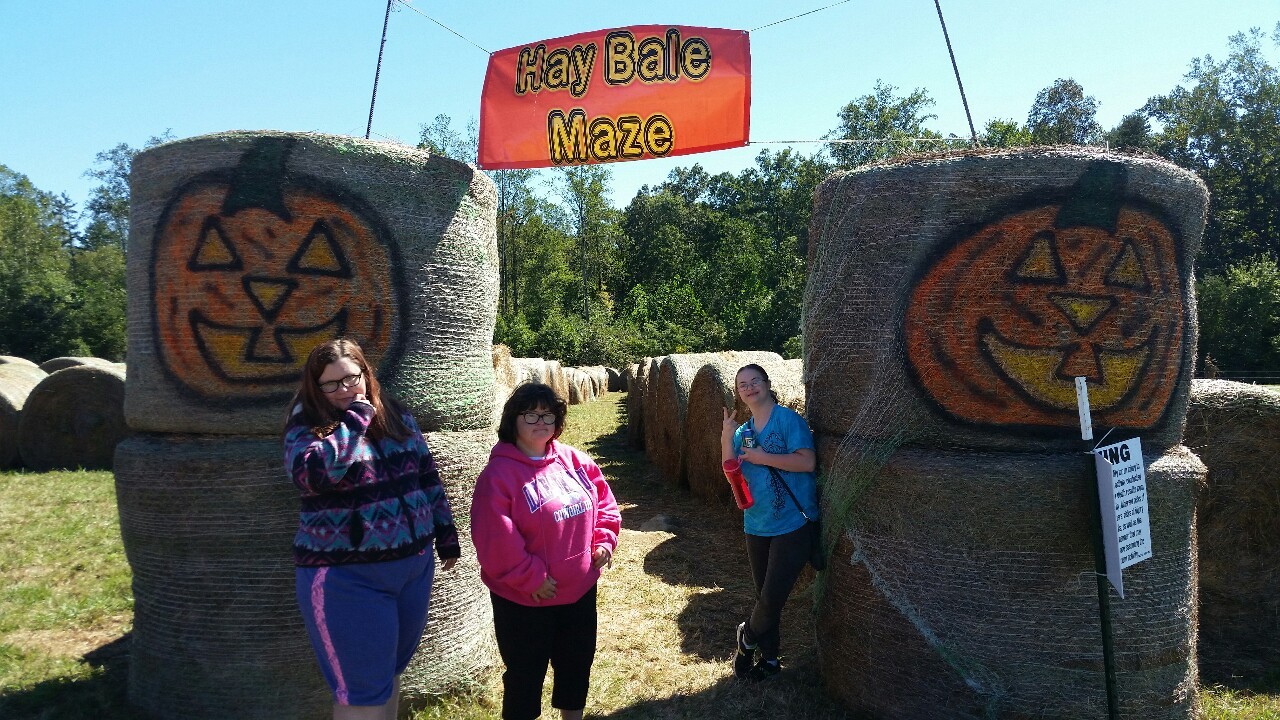 alpha omega corn maze