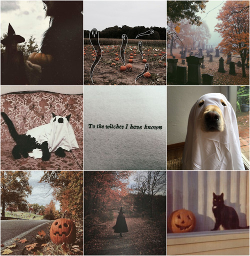 venus-dyke:halloween moodboard