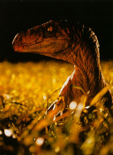 lost world velociraptor