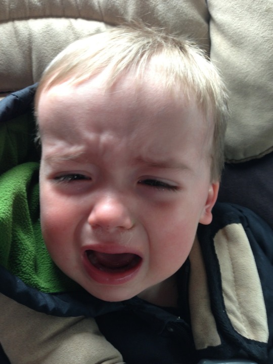 Reasons My Son Is Crying: Photo