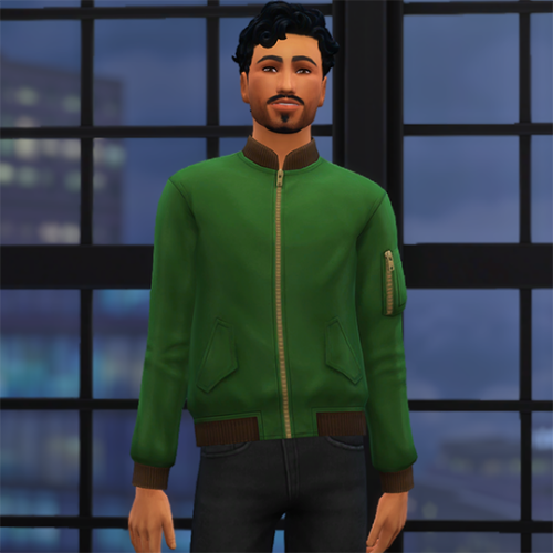 the sims 4 disability mods