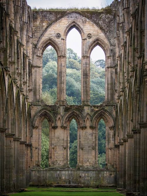 clavicle-moundshroud:Abbaye de Rievaulx, North Yorkshire,...