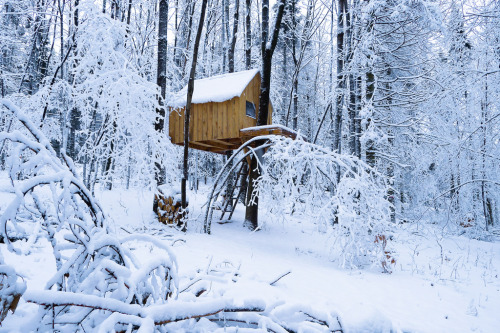 purebushcraft:treehauslove:Treehouse in Quebec. A perfectly...