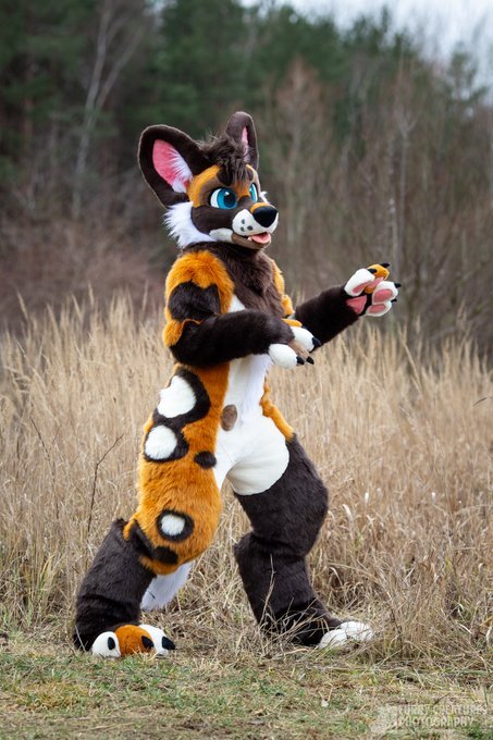 fursuitpursuits:RT @Zuri_Studios: African dogs are the best...