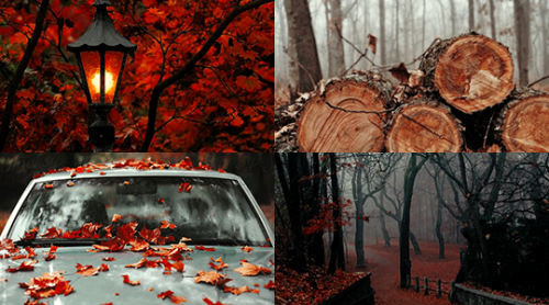 ibuzoo:1000 Picspams Challenge | #517Monthly Aesthetics -...