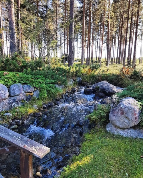 skogskyrkogardar:lappmark-se:#skogskyrkogården i...