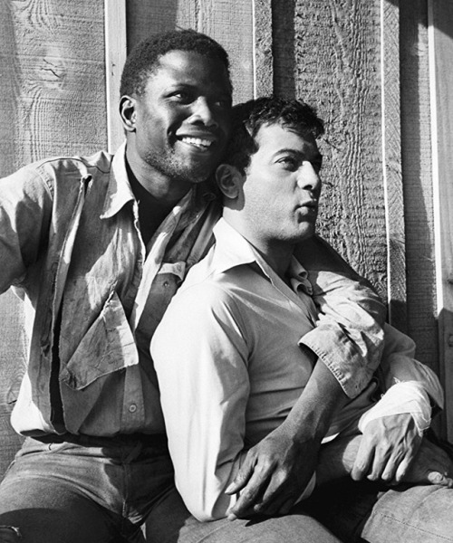 Sidney Poitier and Tony Curtis on the set of The Defiant Ones...