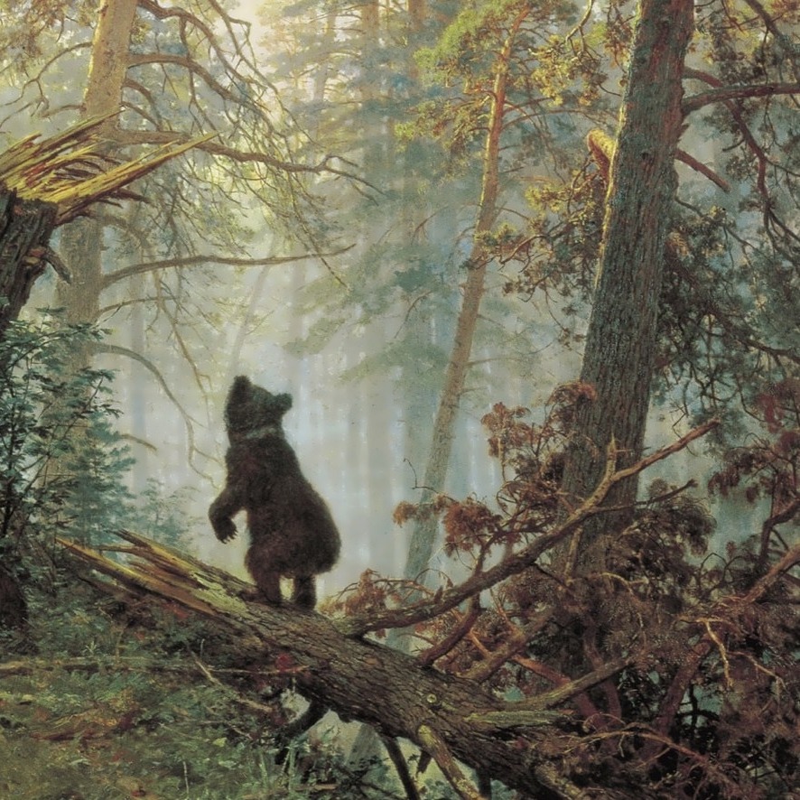 Фото медведи в сосновом бору фото