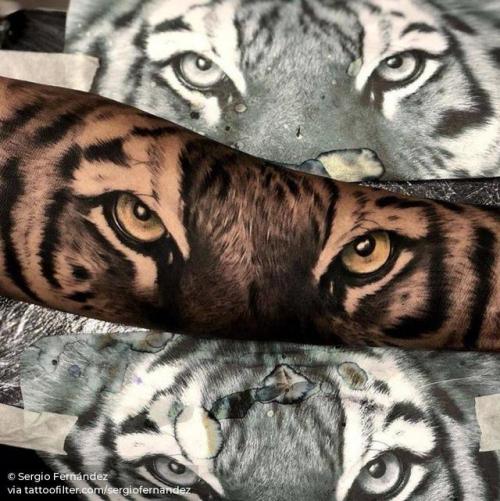 By Sergio Fernández, done at Seven Tattoo, Malaga.... black and grey;tiger;good luck;anatomy;feline;big;animal;eye;sergiofernandez;facebook;twitter;tiger eye;portrait;inner forearm;other