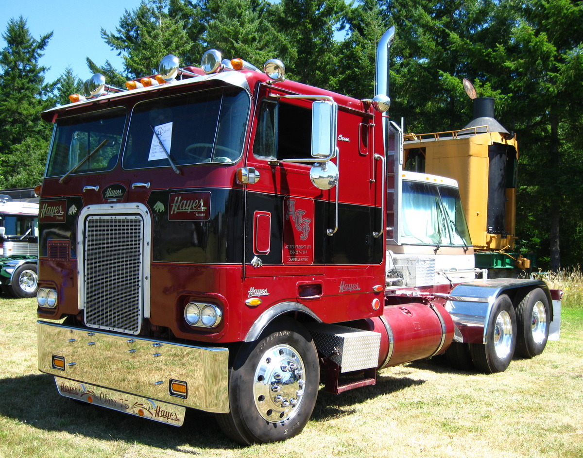 Semitrckn — coe Peterbilt custom 352