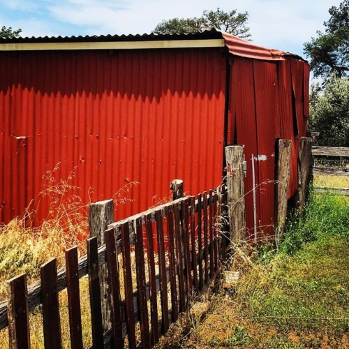 red barn countryside countrylife country fence countryliving landscape wanderlust shadowhunters light shadow sunnyday landscapephotography melbourne werribee grass shade summer summertime sunny landscapelovers bright landscapelover