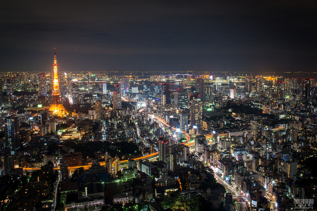 Tokyo, Japan Source: davidgevert (flickr) - City Landscapes