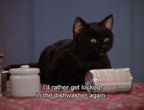 flexibilitas-cerea:Salem Saberhagen, everyone.