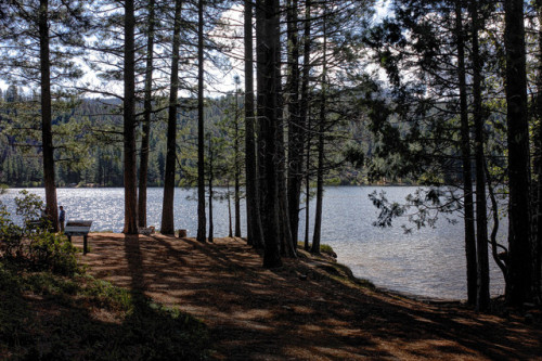 philotheoristic:Light Dancing on the Water…Hume Lake, Sequoia...