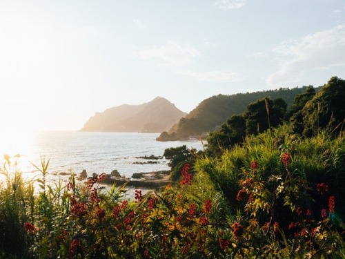 venusverticordias:Corfu, Greece | Tom Grimbert