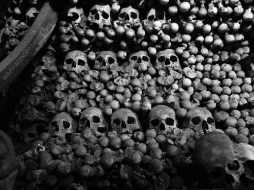 ladybluefox666:The Sedlec Ossuary, Kutna Hora, Czech.And...