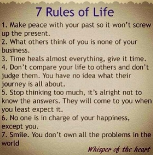 rules of life on Tumblr