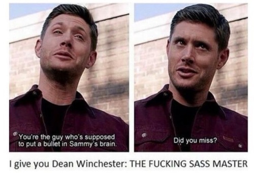 spnmemes:I love the sass!!