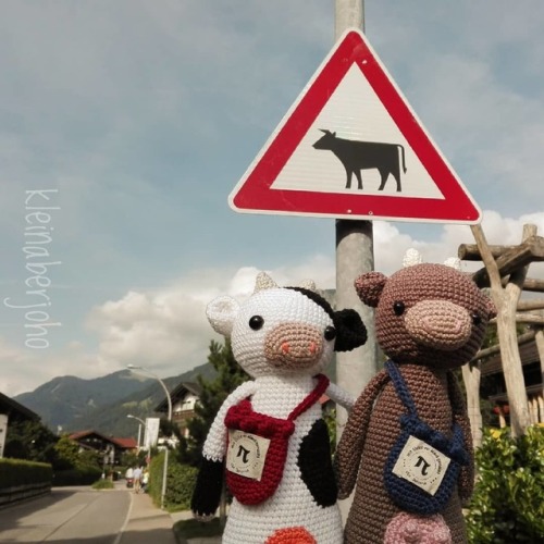 littlebearcrochets