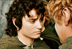 is frodo gay Meg ryan sexy picture