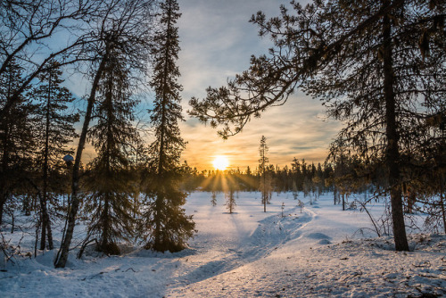 breathtakingdestinations:Kittilä - Finland (by Markus Trienke) 