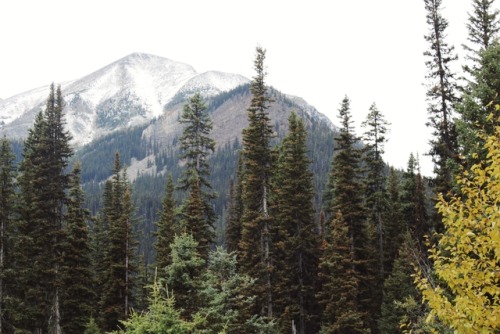 matchbox-mouse:Mountains in Alberta, Canada.