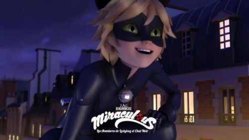 Ladybug Cat Noir Awakening Tumblr