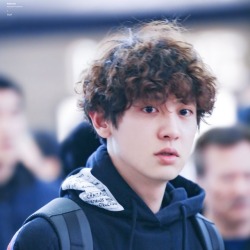 Chanyeol Curly Hair Tumblr