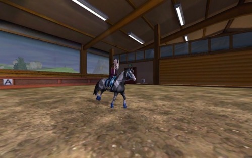 star stable mustang | Tumblr