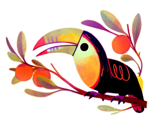 t-price:toucan