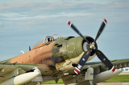 chadscapture:Douglas AD-1 Skyraider “Wiley Coyote”