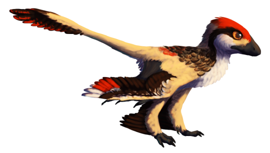 A Dinosaur A Day · Scansoriopteryx heilmanni