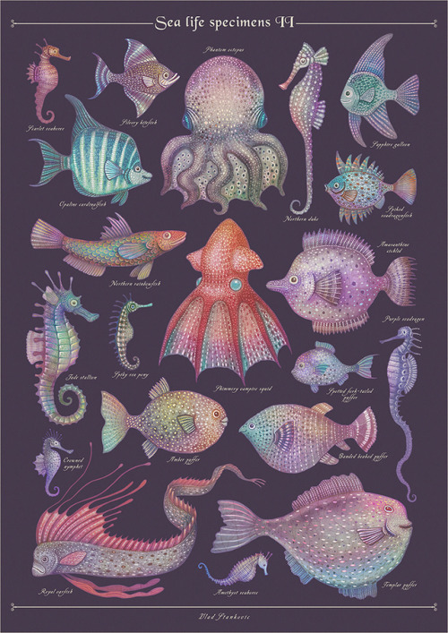 fairytalesandvampires:Sea life specimens I - II -...