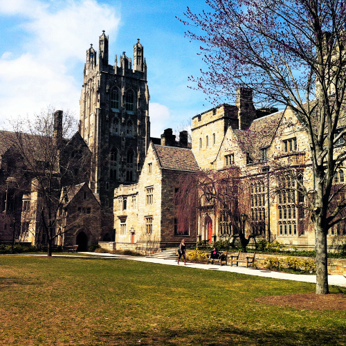 yale university on Tumblr