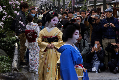 Maiko Toshikana and Geiko Toshimana, Miyagawacho
Le Geisha a Kyoto (by Riccardo-CA)