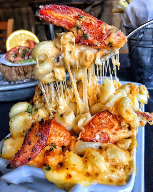 lobster macaroni and cheese near me