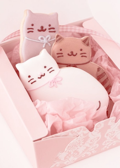 pinkediting food pastel pink pink pink aesthetic cute kawaii cat neko my edit