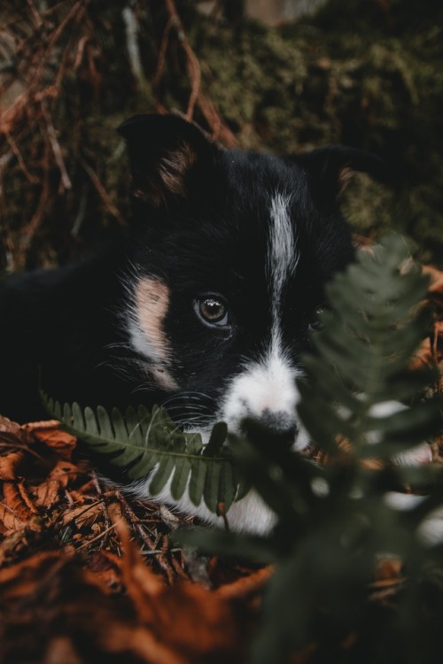 expressions-of-nature:by Will Swann