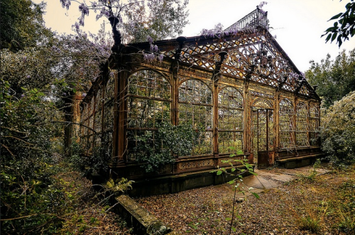 bestabandoned:Abandoned greenhouse, location unknown - Nicola...