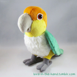 caique plush