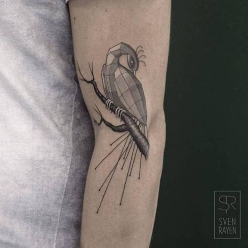 By Sven Rayen, done at Studio Palermo, Antwerp.... single needle;svenrayen;peacock;arm;animal;bird;facebook;twitter;medium size