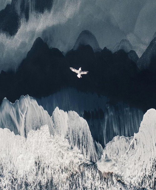 modernnorth