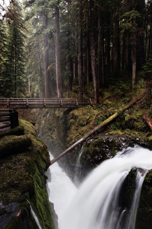 hannahaspen:Sol Duc Falls, Olympic Nat. Park, WA