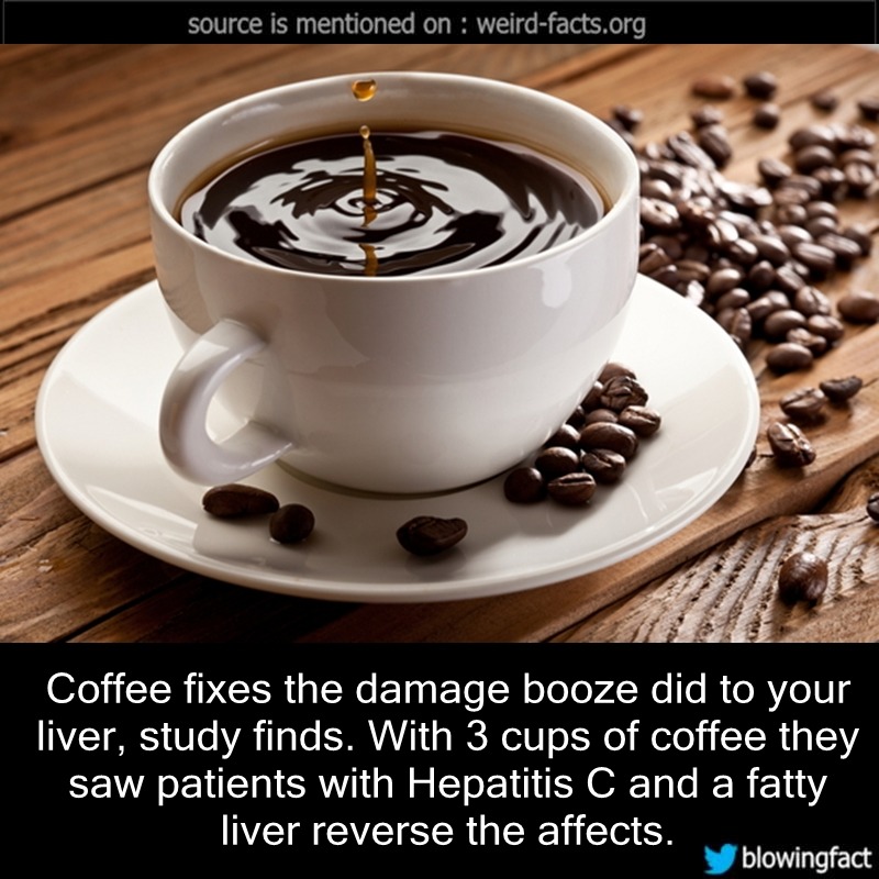 Weird Facts — Coffee fixes the damage booze did to your liver,...