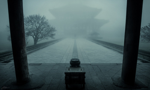 vintagepales2:Todaiji Temple  Nara, Japan.